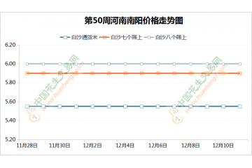 花生交易恢復 行情震蕩調整 ()