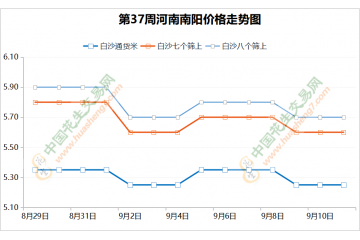 新米先涨后落，后市如何发展? ()