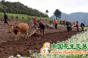 云南：人勤春光好 春耕備耕忙 ()
