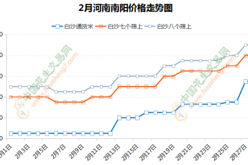 持貨商惜售 花生價格繼續上漲 ()