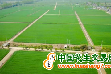 湖南道縣：85%的耕地建成高標準農田 ()