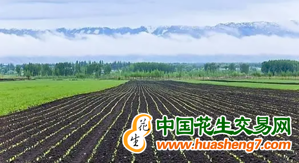 圖片1