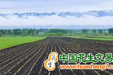 遼寧：實(shí)施黑土地保護(hù)性耕作面積1300萬(wàn)畝 ()
