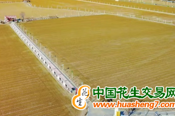 北京順義區(qū)：春播春種春管全面展開 ()