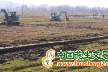 湖南長(zhǎng)沙縣：建設(shè)2萬(wàn)畝高標(biāo)準(zhǔn)農(nóng)田 ()