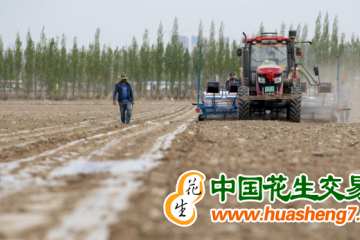 新疆：春播進(jìn)度快于2022年同期 ()