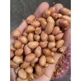 50-60印度花生米食品加工厂用