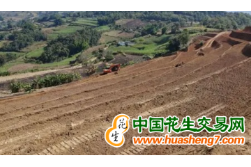 云南寧洱：已建成高標準農田8.96萬畝 ()