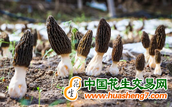 圖片2