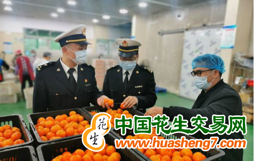 圖片6