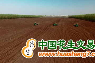 遼寧：2023年計劃擴種大豆10萬畝 ()