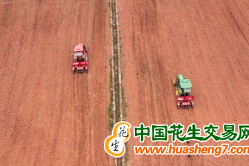 重庆：今年将实施大豆带状复合种植50万亩 ()