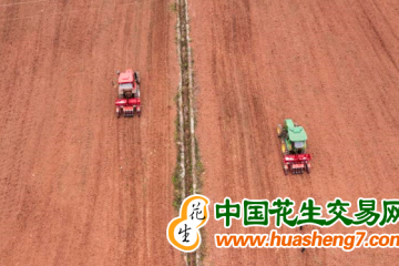 重慶：今年將實施大豆帶狀復合種植50萬畝 ()