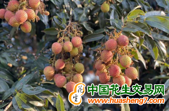 圖片4