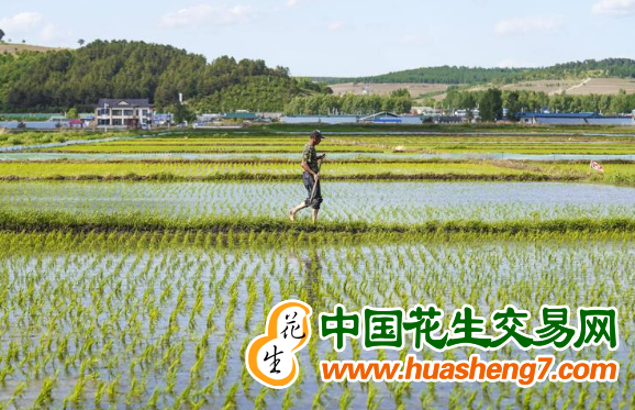 圖片1
