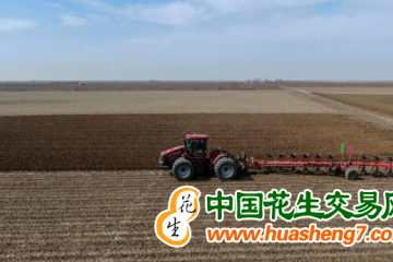 新疆：已春播粮食作物2300余万亩 ()