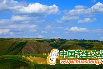青海：新建成高標準農田9.93萬公頃 ()