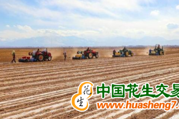 甘肃省春播任务基本完成