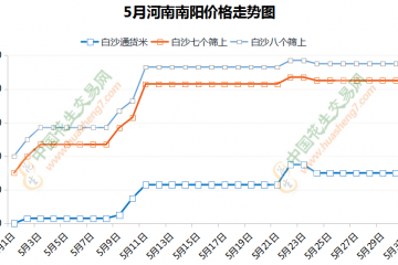 花生漲勢如潮 后市能否持續? ()