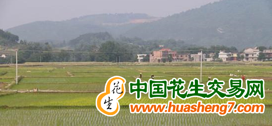圖片2