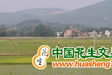 湖南隆回：打造粮食高产优质金名片