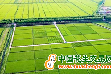 遼寧：實有耕地面積接近8000萬畝 ()