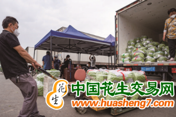北京新發地蔬菜價格持續走低 ()