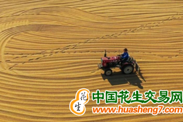 湖北：夏糧總產97.73億斤 ()