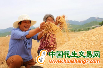 天津市：夏糧總產(chǎn)量達(dá)74.5萬(wàn)噸 ()