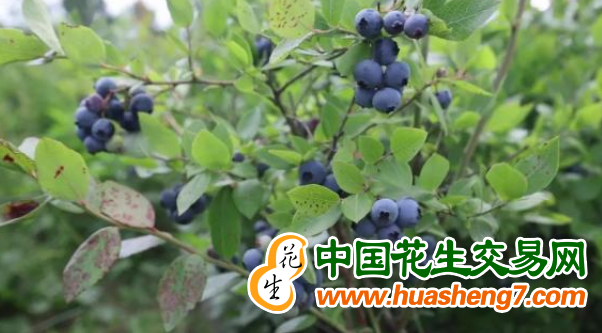 圖片2