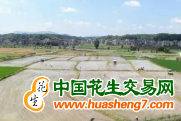 湖南邵東：搶抓農(nóng)時(shí)保豐收 ()