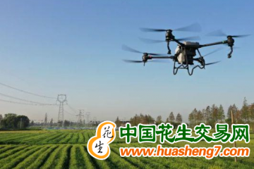 安徽：鄉村“慧”種田 提效又增收 ()