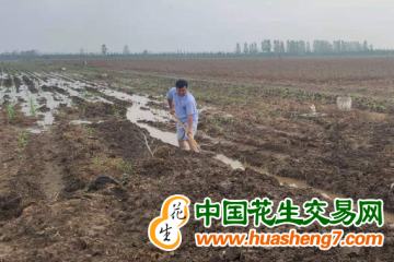 黑龍江牡丹江：排澇補(bǔ)種保豐收 ()