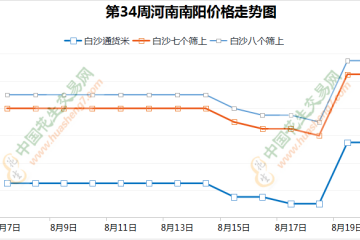庫存陳米弱勢明顯 新米價格維持高位 ()