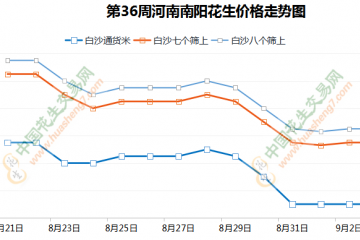 新米上貨增多 行情波動加劇 ()