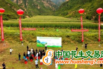 河北省鮮食玉米再添新品種 ()