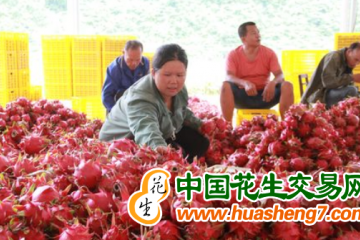 广西：农产品进出口353.38亿元，增长35% ()