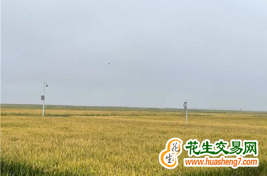 圖片2