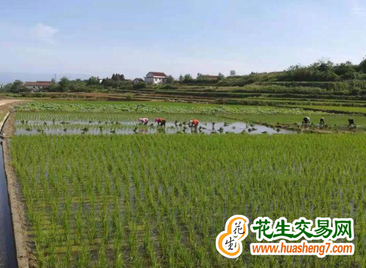 圖片 1