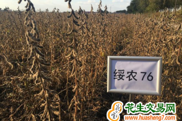 黑龙江省农科院稻种豆种列全国推广面积榜首 ()