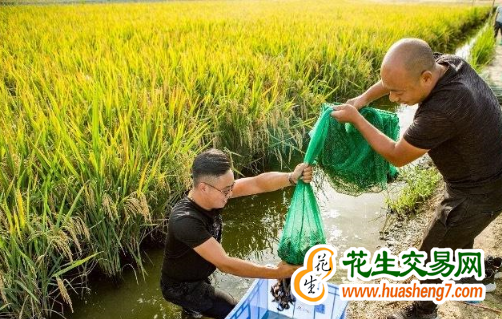 圖片1