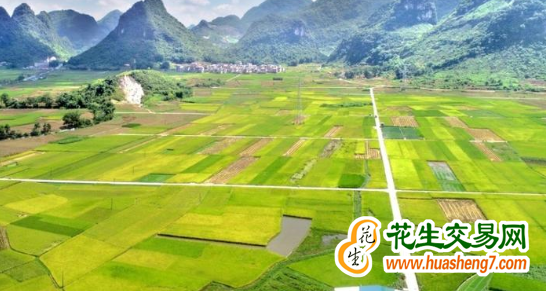 廣西寧明：守穩耕地紅線兜牢“糧袋子” ()