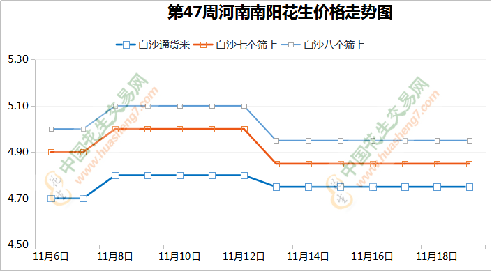 魯花開收振幅市場行情 花生價格稍有抬頭 ()