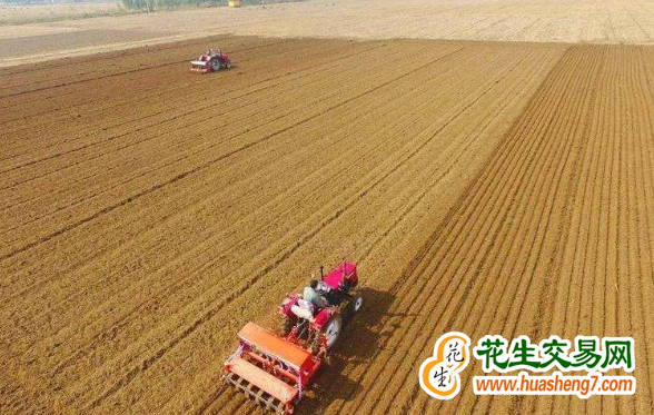 北京房山：已完成冬小麥播種5萬畝 ()