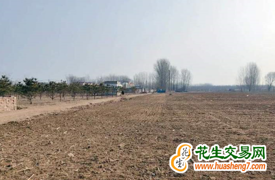 北京順義：糧田增產豐收 ()