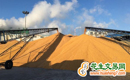 黑龍江：糧食收儲(chǔ)已近400億斤 ()