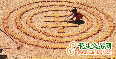 新疆生產(chǎn)建設(shè)兵團(tuán)2023年糧食總產(chǎn)創(chuàng)歷史新高 ()