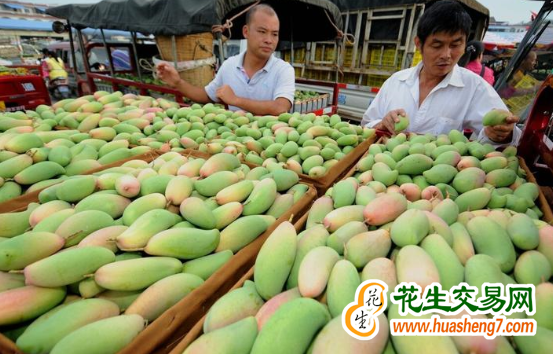 廣西：2023年干鮮瓜果及堅(jiān)…