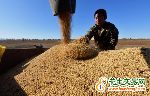 山西省多措并舉推進(jìn)大豆產(chǎn)…