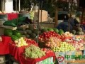 山東濟南：六月時令水果價格集體走低 ()